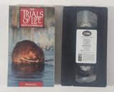 1992 Turner Home Entertainment The Trials Of Life Hosted By David Attenborough Homemaking Movie VHS Video Cassette Tape with Case