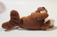 1998 Coca Cola Walrus with Red Santa Cap Holding a Bottle 6" Long Stuff Animal Character Bean Bag Plush New with Tags