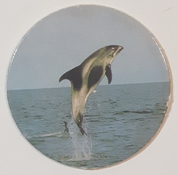 Dolphin Jumping Pog Cap