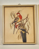 John Gould Native Birds Parrots Art Print Painting Set of 2