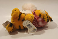 1978 1981 Dakin Paws Garfield Mother's Day Cleaner 'I Don't Do Windows" 9" Tall Toy Plush Stuffed Character with Tag