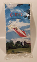 1950 Hallmark United Features Syndicate Peanuts Charlie Brown's "Runaway Kite" Glider New in Package