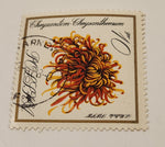 1966 Poland Chrysanthemum Flower Postal Stamp