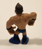 2010 WWE Rumblers Evan Bourne 2 1/4" Tall Toy Mini Figure V7373