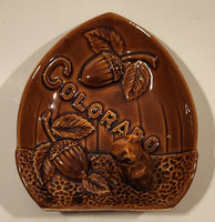 Vintage Colorado Squirrel Brown Ceramic Ashtray Nut Dish