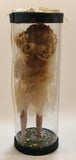 Girl Holding Butterfly in Green Grass Flower Meadow 10" Tall Porcelain Doll In Plastic Tube Display Case