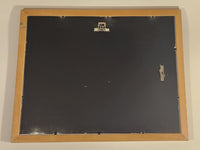 1996 The Disney Store Toy Story Exclusive Commemorative Lithograph Wood Framed Print