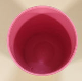 Dynamic Drinkware Disney The Beast Belle Cinderella Rapunzel Ariel Flounder 5 5/8" Tall Plastic Cup