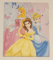 Disney Princess Aurora Belle Cinderella 16" x 20" Canvas Wall Art Picture