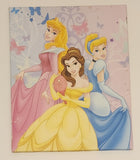 Disney Princess Aurora Belle Cinderella 16" x 20" Canvas Wall Art Picture