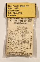 The Fossil Shop Fossils Of Alberta Petrified Wood in Bag
