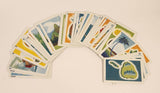Vintage 1958 Trans-Pacific Marketing Honolulu Hawaii The Hawaiian Card Game Kapu In Box with Sleeve