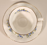 Vintage Paragon English Flowers Aubretia Blue Flowers Tea Cup & Saucer Set