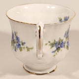 Vintage Paragon English Flowers Aubretia Blue Flowers Tea Cup & Saucer Set