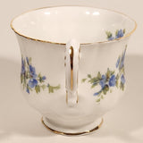 Vintage Paragon English Flowers Aubretia Blue Flowers Tea Cup & Saucer Set