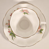 Vintage Royal Albert Bone China England Evesham Pink Flowers Tea Cup & Saucer Set