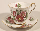 Vintage Royal Windsor Bone China Floral Emblem of Alberta The Wild Rose Red Roses Flowers Tea Cup & Saucer Set