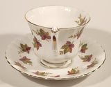 Vintage Royal Albert From Sea To Sea Fall Autumn Maple Leaf Pattern Tea Cup & Saucer Set