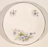 Vintage Rosina China Co Ltd. Queen's Fine Bone China Silver Wedding Tea Cup & Saucer Set