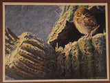 Vintage 1982 Robert Bateman "Young Elf Owl" 8 1/4" x 11 1/4" Art Print in 11 1/4" x 14" Pink Metal Frame