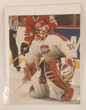 Norman James ProStat Sports Posters NHL Montreal Canadiens #33 Patrick Roy 8" x 10" Poster