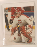 Norman James ProStat Sports Posters NHL Montreal Canadiens #33 Patrick Roy 8" x 10" Poster