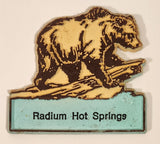 Radium Hot Springs 1 3/4" x 2" Rubber Fridge Magnet