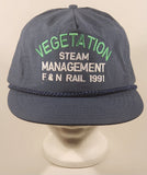 Vintage Vegetation Steam Management E & N Rail 1991 Dark Blue Snapback Trucker Cap Hat