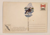 Peacock Postcards British Columbia Orca Killer Whale Postcard