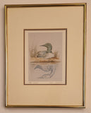 Sue Coleman "The Loon" 11 1/4" x 14 1/4" Framed Art Print