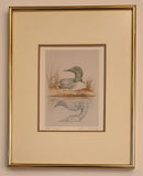 Sue Coleman "The Loon" 11 1/4" x 14 1/4" Framed Art Print