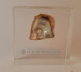 Vintage Kenwood Electronics Lucite Clear Resin Pearl in Shell Paperweight - Treasure Valley Antiques & Collectibles