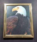 Bald Eagle 8" x 10" Bird Print in Gold Tone Plastic Frame - Treasure Valley Antiques & Collectibles