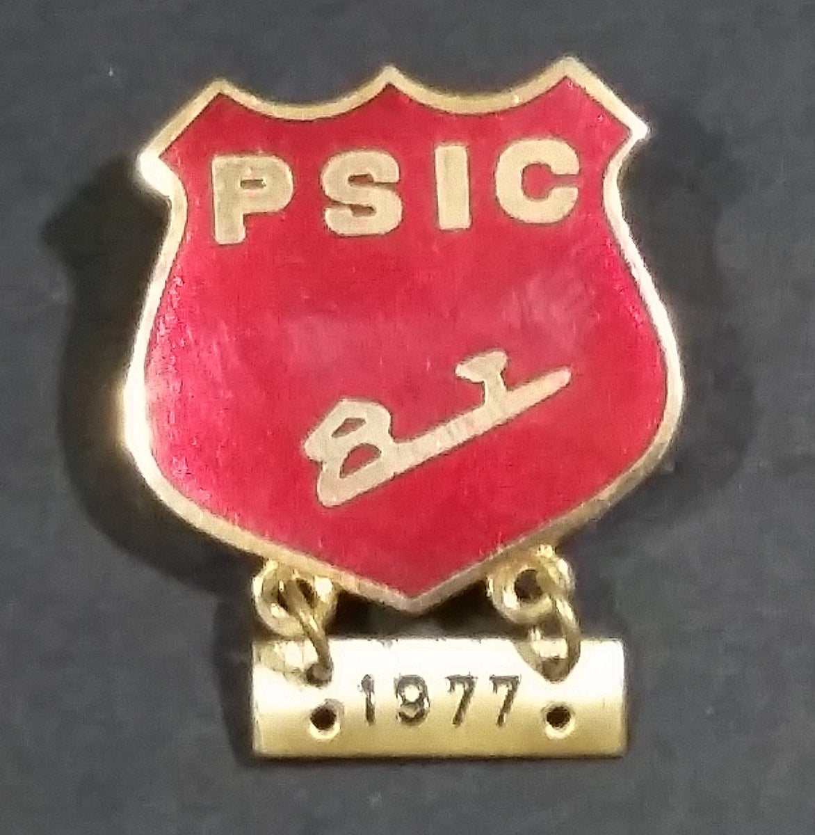 1977 PSIC Red Crest Enamel Ice Skating Pin – Treasure Valley Antiques ...