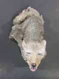 1999 Wolf Howling While Sitting on a Rock 10" Tall Decorative Resin Sculpture - Treasure Valley Antiques & Collectibles