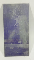 Vintage Photographic Glass Plate Negative of Circus Performers on Rope Ladders with Audience in The Background - Treasure Valley Antiques & Collectibles