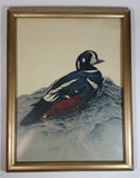 Vintage M.G. Loates Glen Loates Harlequin Duck 13 1/2" x 17 1/2" Framed Wildlife Art Print