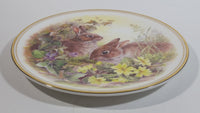 Vintage Royal Vale "European Wild Rabbit" Bunny Hare Bone China Collectible Wildlife Plate