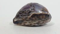 Hand Carved Hawaii Hawaiian Sea Shell with Surfer Themed Design Souvenir Travel Collectible