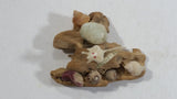 Ucluelet, B.C. Vancouver Island Petrified Wood with Sea Shells and Albino Mouse Ornament Souvenir Travel Collectible
