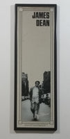 1992 James Dean Hollywood Actor Acting Icon 6 " x 18" Framed Mirror Wall Hanging Celebrity Collectible