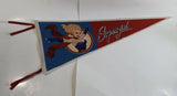 2016 DC Comics Supergirl Felt Pennant