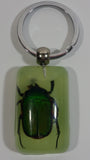 Light Green Acrylic Real June Bug Insect Keychain