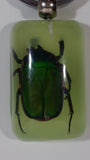 Light Green Acrylic Real June Bug Insect Keychain