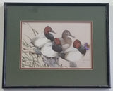 Ducks Unlimited Artist Art Lamay "Can Stand" 11" x 13" Framed Wildlife Art Print