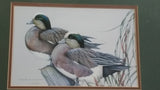 Ducks Unlimited Artist - Art Lamay "Whimsical Wigeons" Framed Print