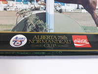 Vintage 1980 Coca-Cola Limited Edition Alberta 75th Anniversary 75th Normandeau Cup Red Deer, Alberta Green Metal Beverage Tray