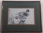 Ducks Unlimited Artist Art Lamay "Pintail Pals" 11" x 13" Framed Wildlife Art Print