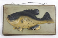 Bass Fish Heavy Resin Wall Plaque - Has Chips