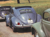 Volkswagen Beetle "Endangered Species" Hardboard Wood Plaque with Yellow and Red Bead Tail Lights 16" x 20"